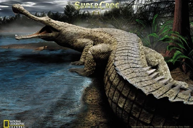 3D Nature Wallpapers Wallpapers HD Base