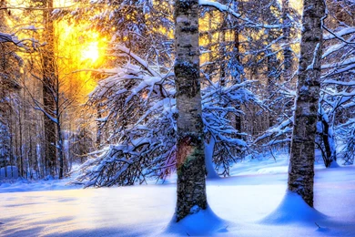 Free Widescreen Winter Wallpapers (11) Free Wall Paper