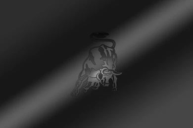 Download Bull Wallpapers 1920x1080