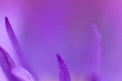 New Backgrounds Galaxy S5 Wallpapers 193