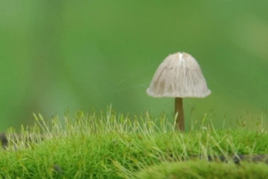 New Backgrounds Galaxy S5 Wallpapers 173