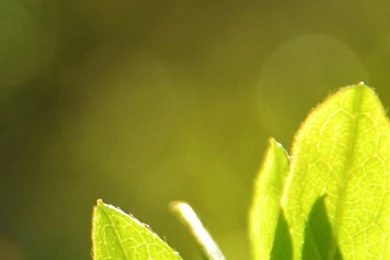 New Backgrounds Galaxy S5 Wallpapers 178