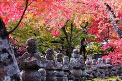 Kyoto Wallpapers Wallpapers Cave