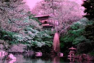 Kyoto Maruyama Park ServersStack.com