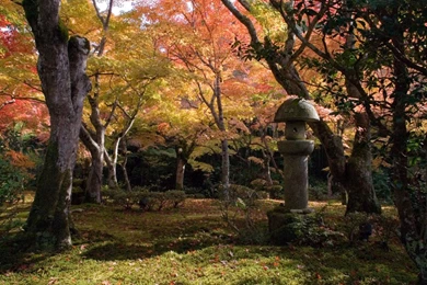 The Way Bunter Garten Kyoto Fall Garden HD Wallpapers Wallpapers ...