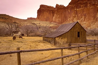 Old Gifford Homestead Capitol Reef National Park Utah Picture, Old ...
