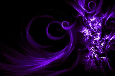 Purple Wallpapers Color Wallpapers