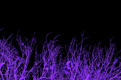 Glow Wallpapers 3 Purple By AHelton84 On DeviantArt