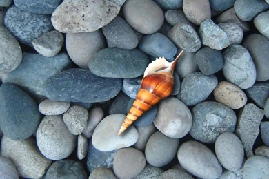 Pebble Beach Theme Wallpapers Android Apps And Tests AndroidPIT