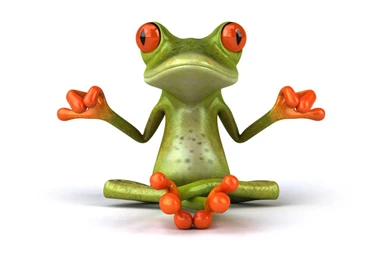 29 Free Frog Wallpapers For Desktop 1638 :: Frog Desktop Wallpapers