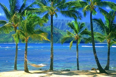 Free HQ An Empty Hammock Kauai Hawaii Wallpapers Free HQ Wallpapers