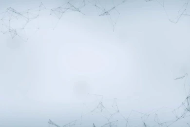 Animus Wallpapers Wallpapers Cave