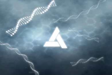 Animus Wallpapers By Erayashi On DeviantArt