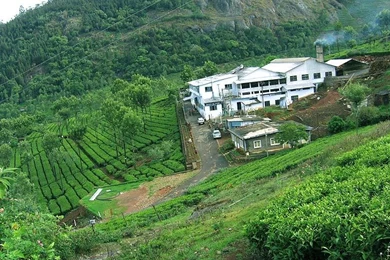 Ooty Tamilnadu Wallpapers Top Most Beautiful Places In India ...