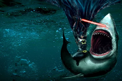 Batman Fighting Shark HD Wallpapers » FullHDWpp Full HD ...