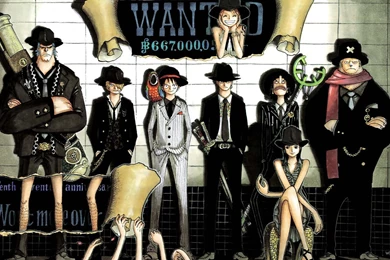One Piece Wanted Hd Picture