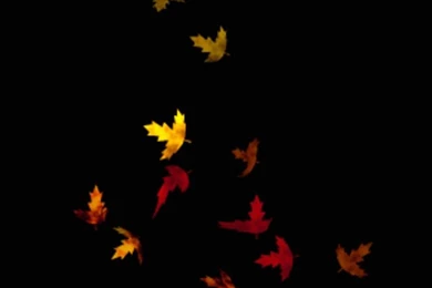 Free Animated Gif Wallpapers Download Google Search