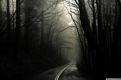 Dark Road Forest HD Desktop Wallpapers : High Definition ...