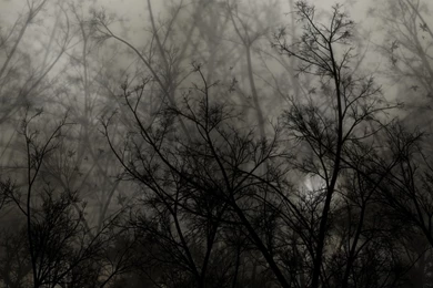 Shine A Light In The Dark HD Wallpapers Widescreen 1366x768