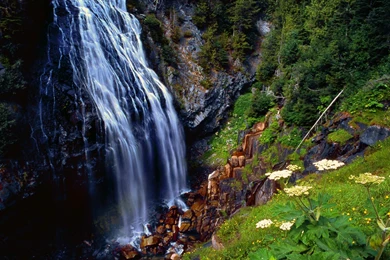 Download Wild Waterfall Picture Wallpapers HD