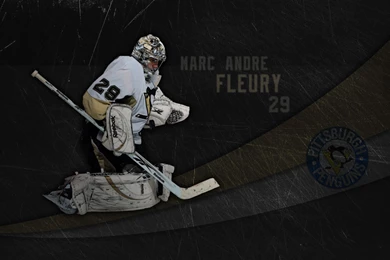 Marc Andre Fleury By Nester47
