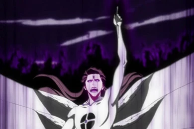 Aizen Espada Bleach Espada – Anime Bleach HD Desktop Wallpapers Desktop ...