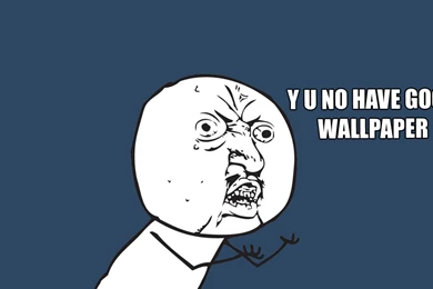 Computer Backgrounds Funny Cat Memes, Humor Meme Wallpapers ...