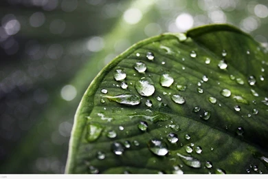 Full Hd Widescreen Wallpapers 1080P (7) – Amazing Trends