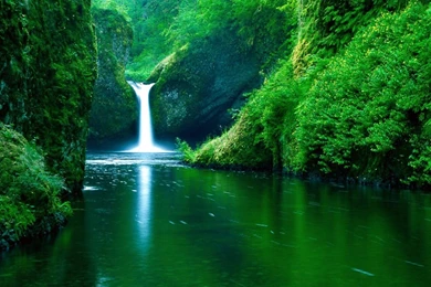 Free Nature Wallpapers Desktop Wallpapers Cave