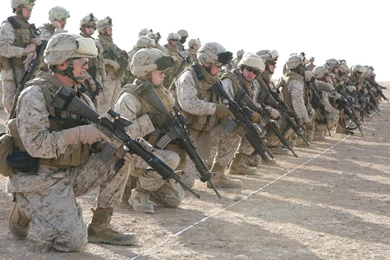 Marine Fish Wallpapers