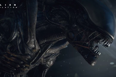 Alien Isolation Wallpapers