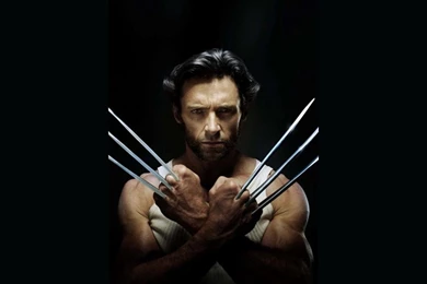 Wolverine Posters