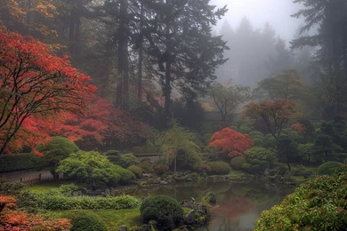 Water, Japan, Flowers, Mist, Japanese Gardens :: Wallpapers