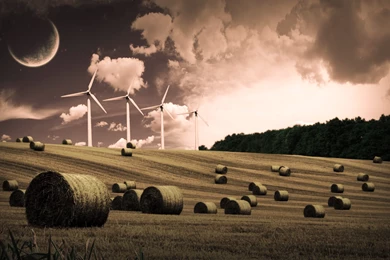 Theme Bin» Blog Archive » The Field 3 HD Wallpapers