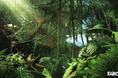 Far Cry 3 HD Wallpapers