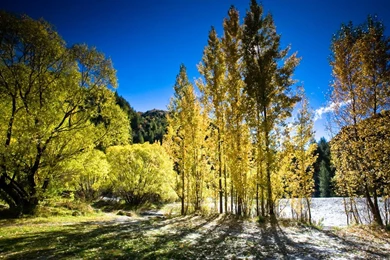 New Zealand Scenery, New Zealand Landscape Photogrphy 1024x768 NO ...