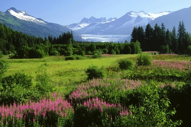 Free Screensavers And Wallpapers KScreensavers.com