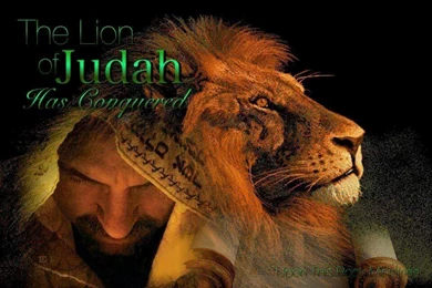 lion of judah wallpapers