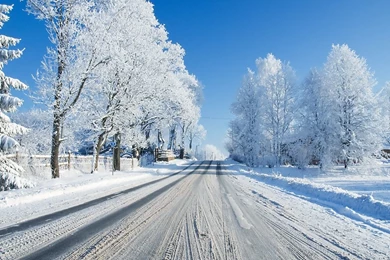 Bing Free Winter Screensavers Wallpapers Desktop Background