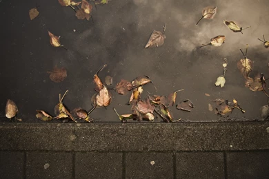 The Window Wallpapers By MalooF On DeviantArt