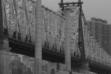 Diane Young Vampire Weekend Vevo