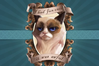 Full HD 1080p Grumpy Cat Wallpapers HD, Desktop Backgrounds 1920x1080
