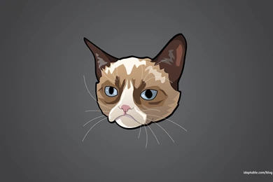 Fonds D'écran Grumpy Cat : Tous Les Wallpapers Grumpy Cat