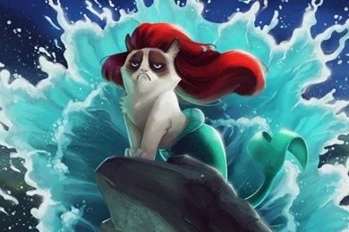Cat, Grumpy Cat, The Little Mermaid, Disney, Humor Wallpapers HD ...