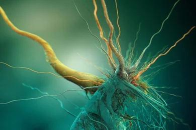 Desktop Wallpapers · Gallery · Computers · Alien Introduction ...