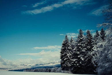 Natural Scenery Seasonal Cycle HD Magnificent Wallpapers Free HD ...