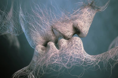 Mobile Desktop HD Wallpapers & Gallery