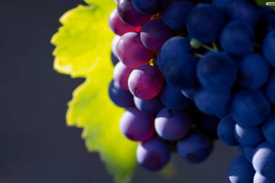 YouWall Bunch Of Grapes Wallpapers Wallpaper,wallpapers,free ...