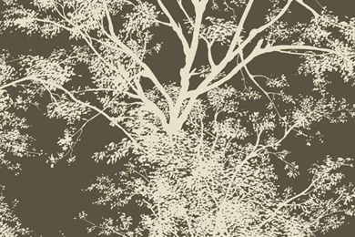 Copper Teal Ap7506 Tree Silhouette Wallpapers By York