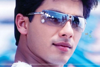 Wallpapers Shahid Kapoor In Milenge Milenge (166884) Size:1024x768